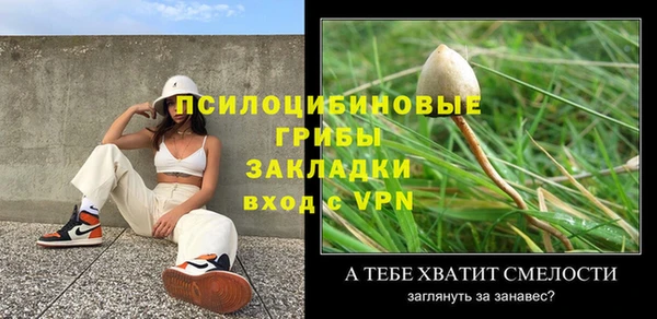 apvp Алексеевка