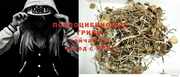 таблы Алзамай