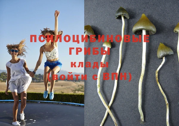 таблы Алзамай