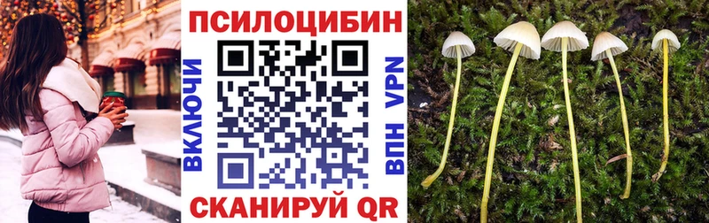 Псилоцибиновые грибы мицелий  MEGA tor  Цимлянск 
